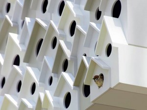 creatieve vogelhuisjes