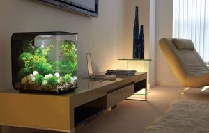 vrijstaand aquarium op tv meubel